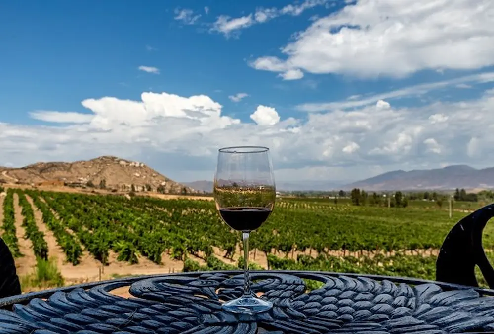 7 mejores valles para hacer enoturismo en Chile