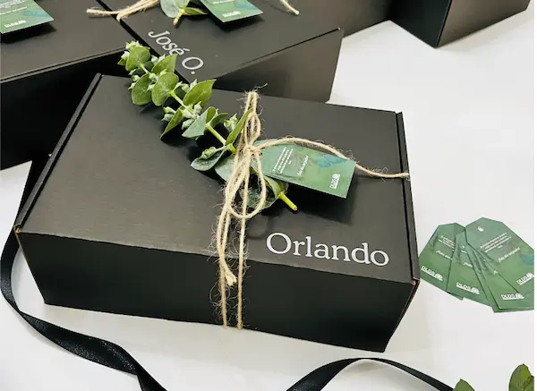 Kit sorpresa en su escritorio o domicilio