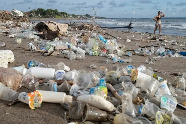 Contaminación por plásticos ¿Cómo afecta nuestra salud