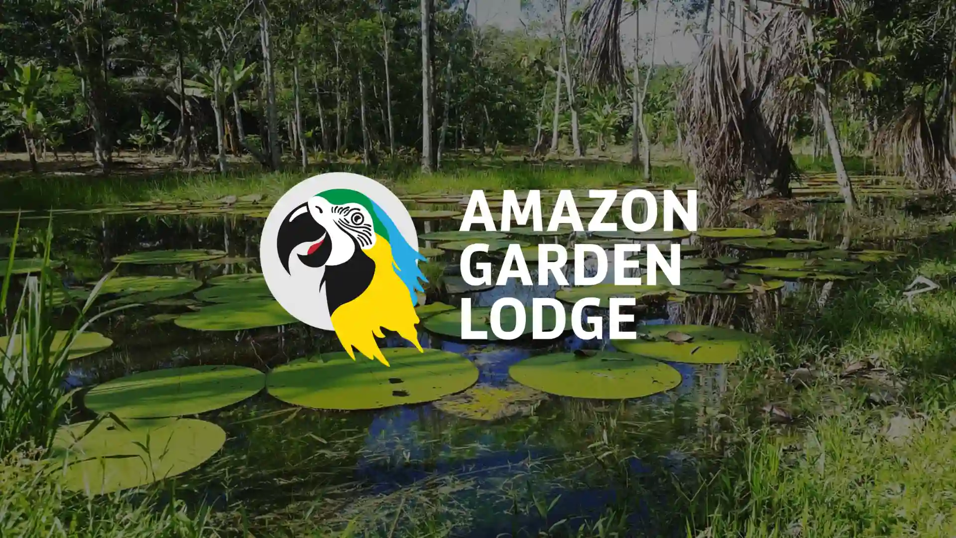 amazon garden lodge