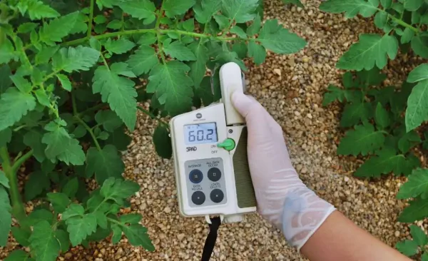 ¿Qué son los sensores ambientales?