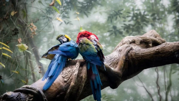 Factores que influyen en los tipos de clima