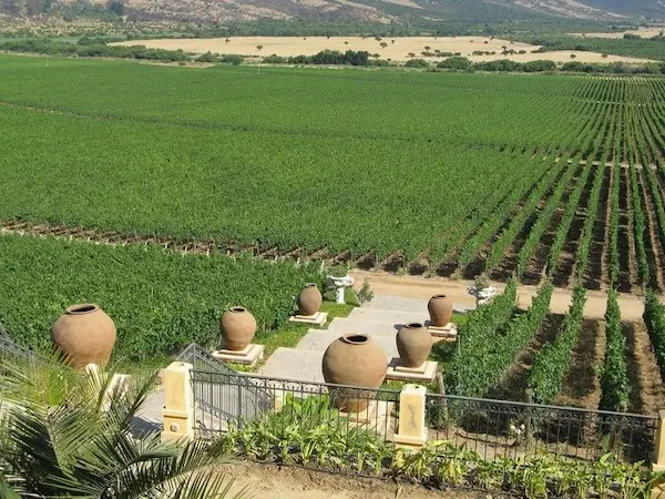 El Valle de Casablanca