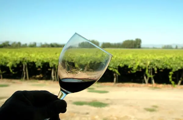 Planifica tu Ruta del Vino