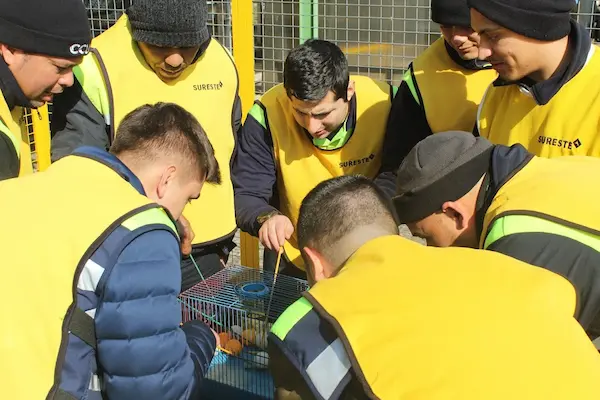 ¿Qué son los Espacios de recreación en la industria minera?