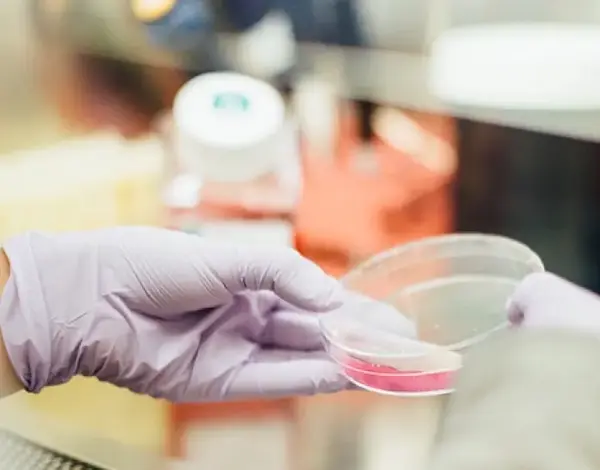 10 Sistemas Clave en la Industria Sanitaria