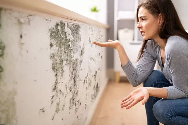 Cómo prevenir el moho en el hogar de forma efectiva