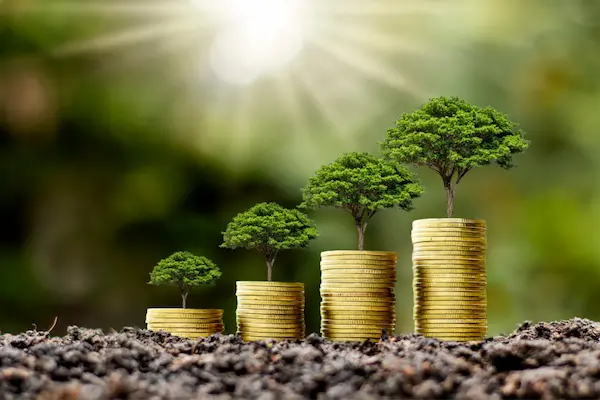 Economía verde: ¿qué es y por qué es clave para el futuro del planeta?