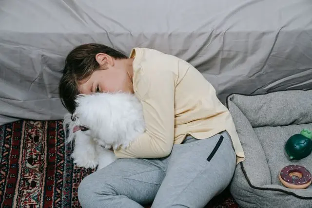 niño abrazando a un perro blanco